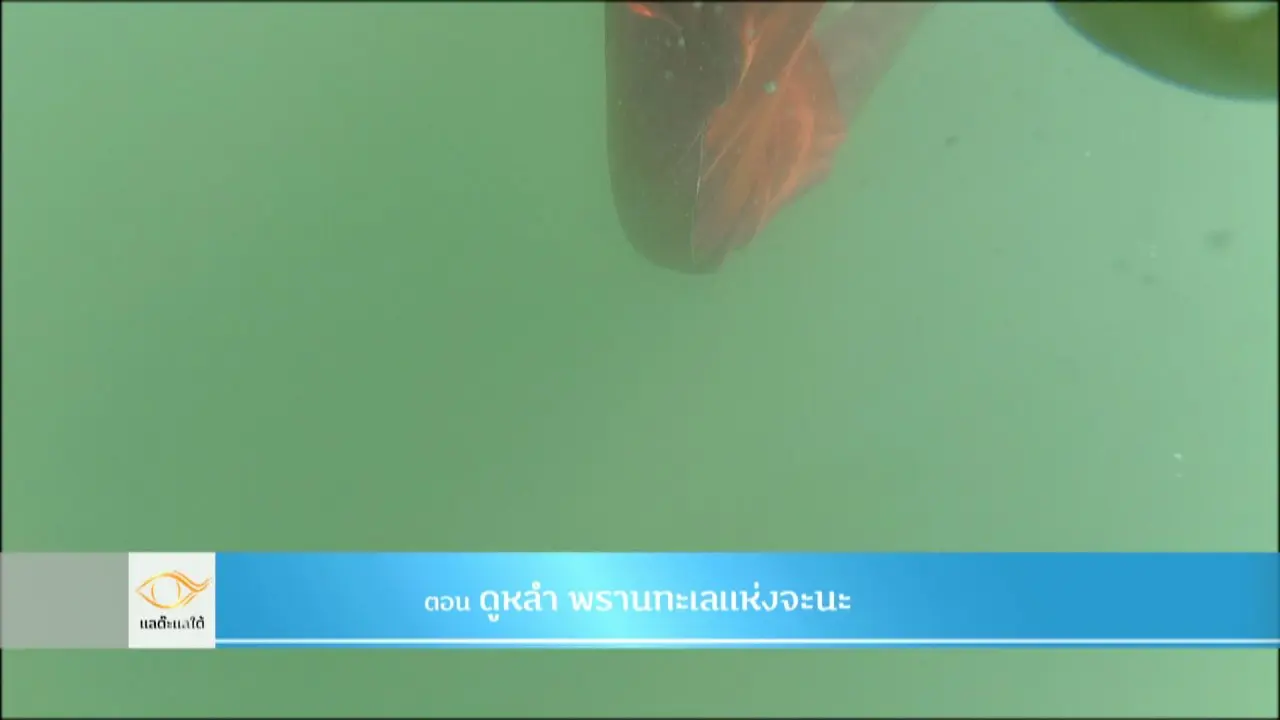 ดูหลำ วิชาฟังเสียงปลา​