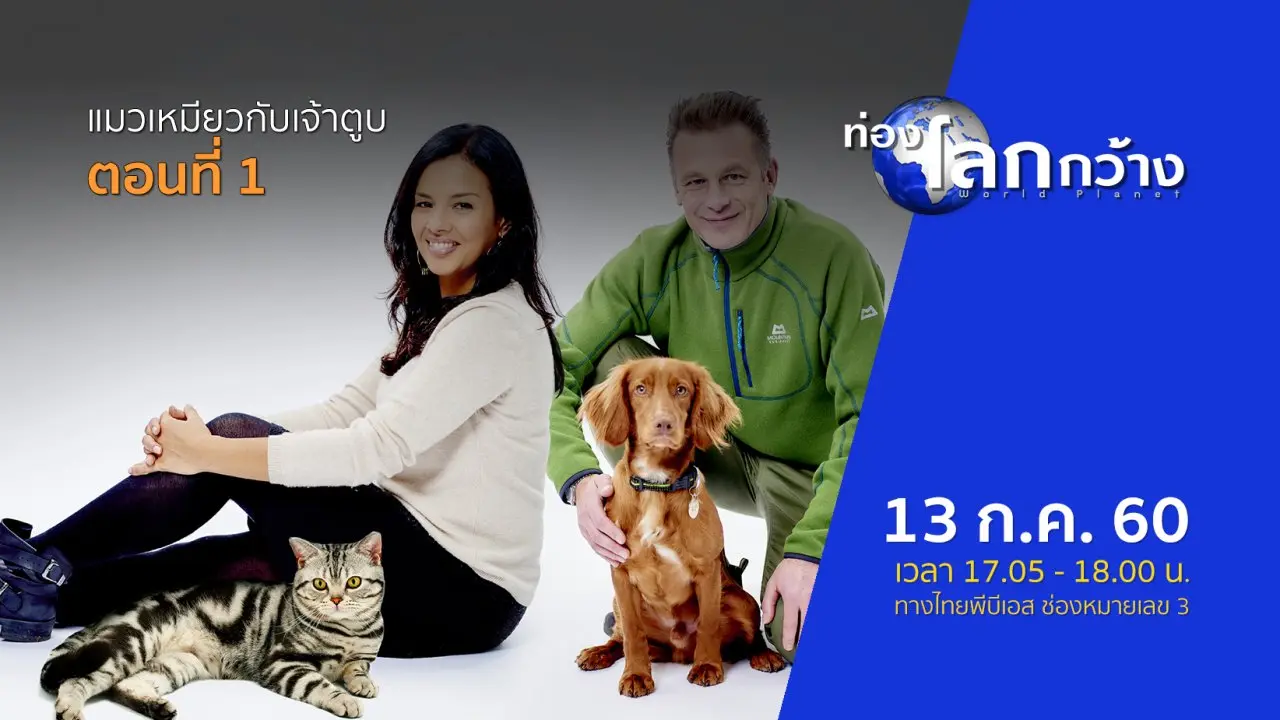 แมวเหมียวกับเจ้าตูบ ตอนที่ 1