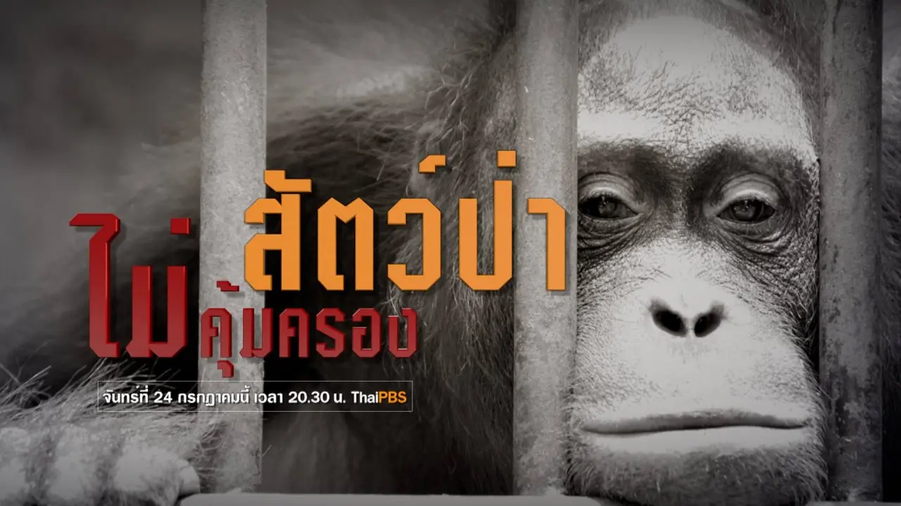 สัตว์ป่าไม่คุ้มครอง