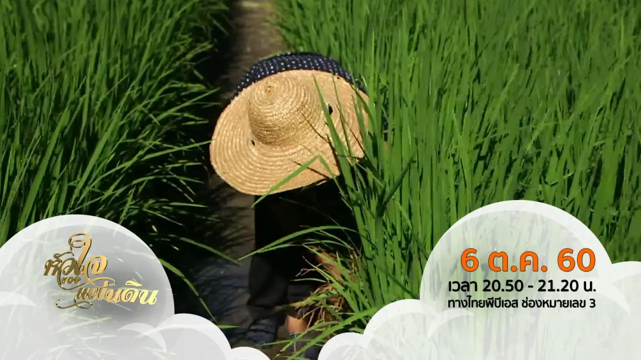 หัวใจของแผ่นดิน ( 6 ต.ค. 60 )