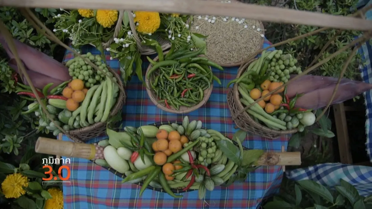 รอยทางที่พ่อสร้างไว้, เกษตรท่าลี่ เฮ็ดดีมีสุข, สุข(ภาพ)ชาวเล