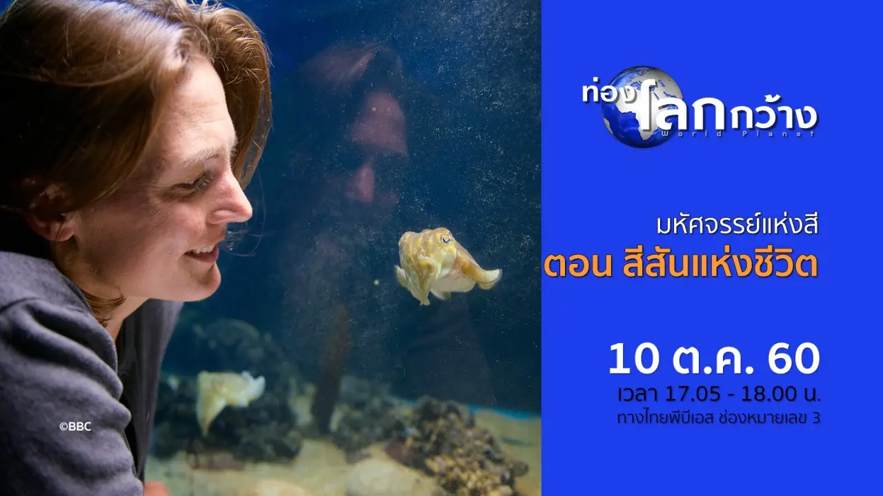 มหัศจรรย์แห่งสี ตอน สีสันแห่งชีวิต
