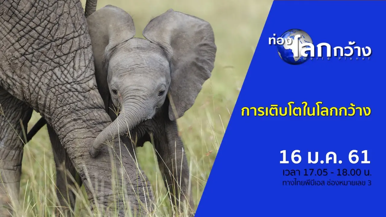 การเติบโตในโลกกว้าง