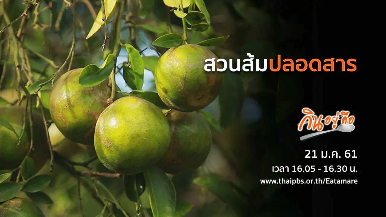 สวนส้มปลอดสาร