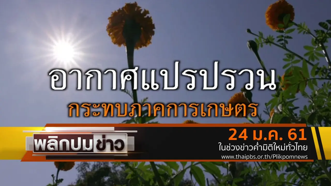 อากาศแปรปรวน กระทบภาคการเกษตร