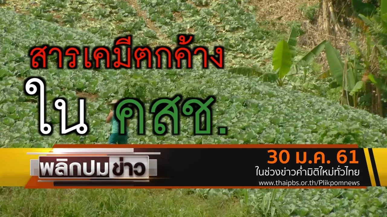 สารเคมีตกค้างใน คสช.