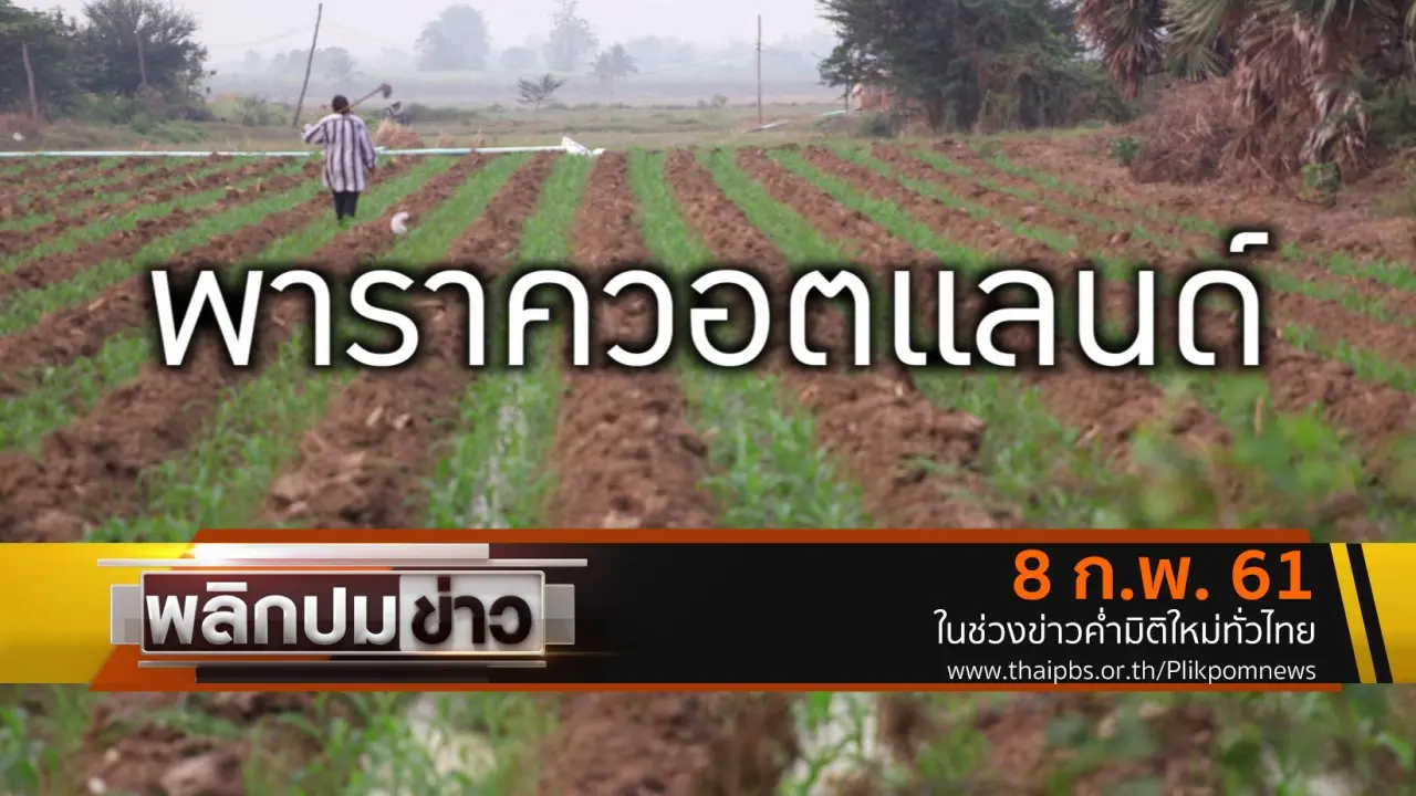 พาราควอตแลนด์