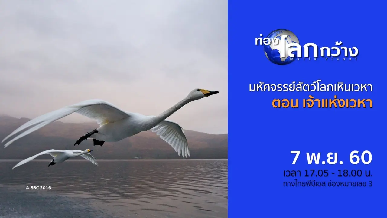 มหัศจรรย์สัตว์โลกเหินเวหา ตอน เจ้าแห่งเวหา