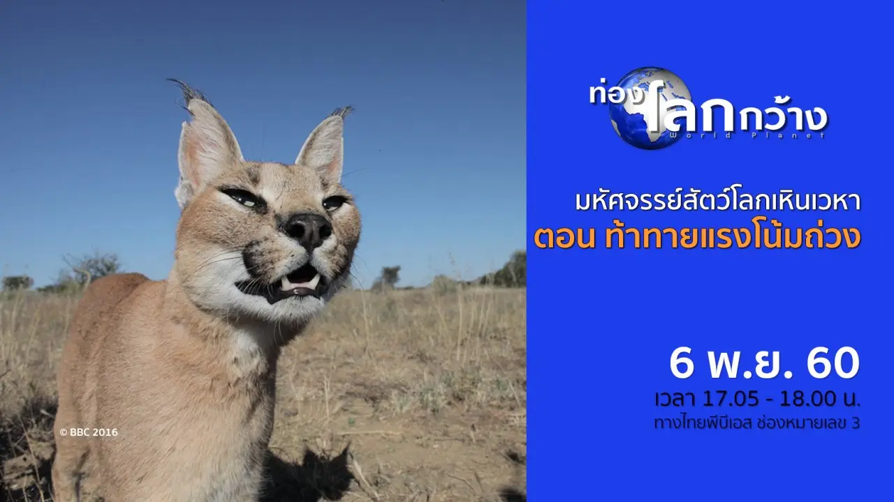 มหัศจรรย์สัตว์โลกเหินเวหา ตอน ท้าทายแรงโน้มถ่วง