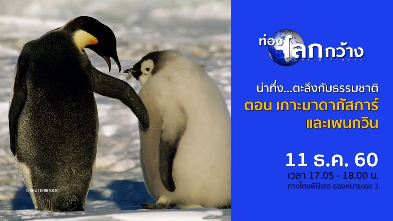 น่าทึ่ง...ตะลึงกับธรรมชาติ ตอน เกาะมาดากัสการ์ และเพนกวิน