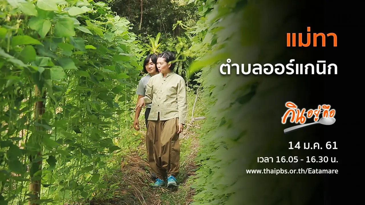 แม่ทาตำบลออร์แกนิก
