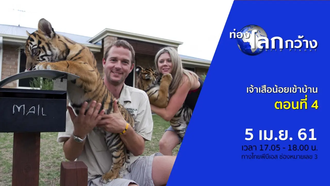 เจ้าเสือน้อยเข้าบ้าน ตอนที่ 4