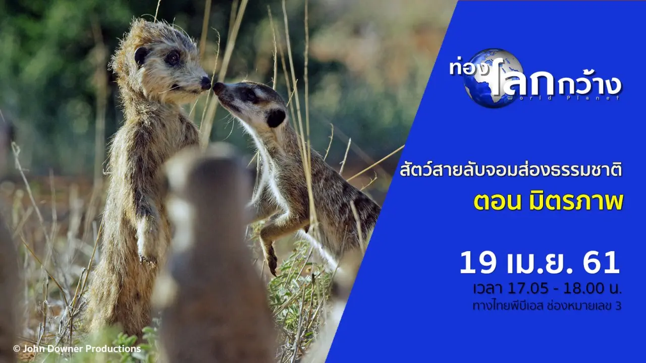 สัตว์สายลับจอมส่องธรรมชาติ ตอน มิตรภาพ