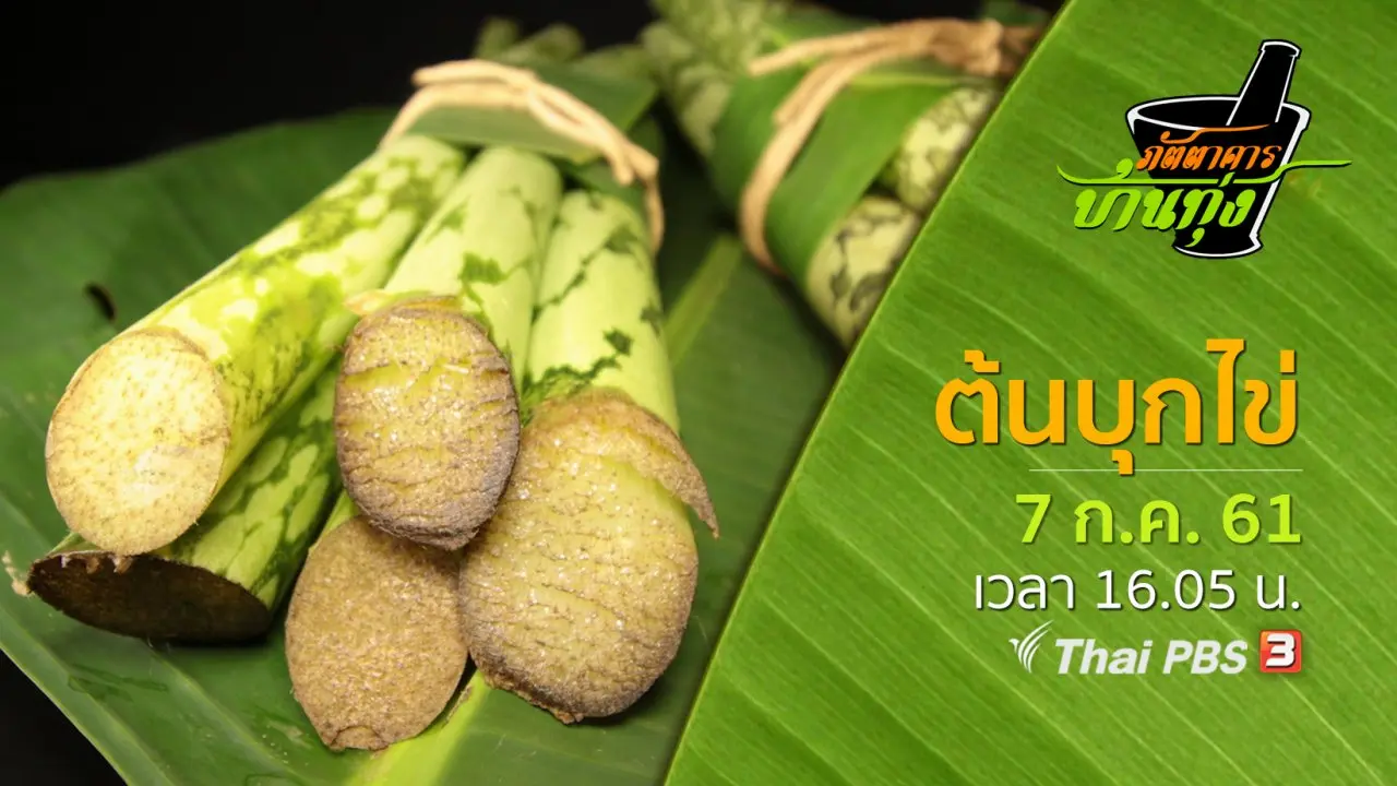 ต้นบุกไข่