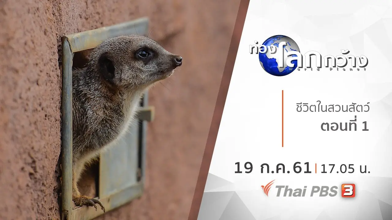 ชีวิตในสวนสัตว์ ตอนที่ 1