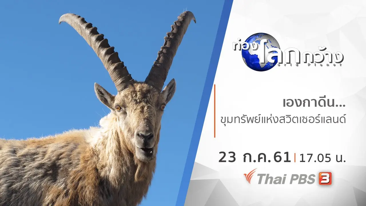 เองกาดีน...ขุมทรัพย์แห่งสวิตเซอร์แลนด์