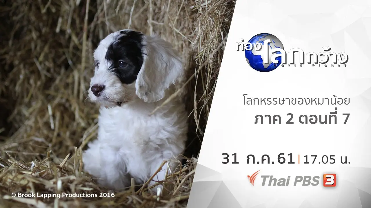 โลกหรรษาของหมาน้อย ภาค 2 ตอนที่ 7
