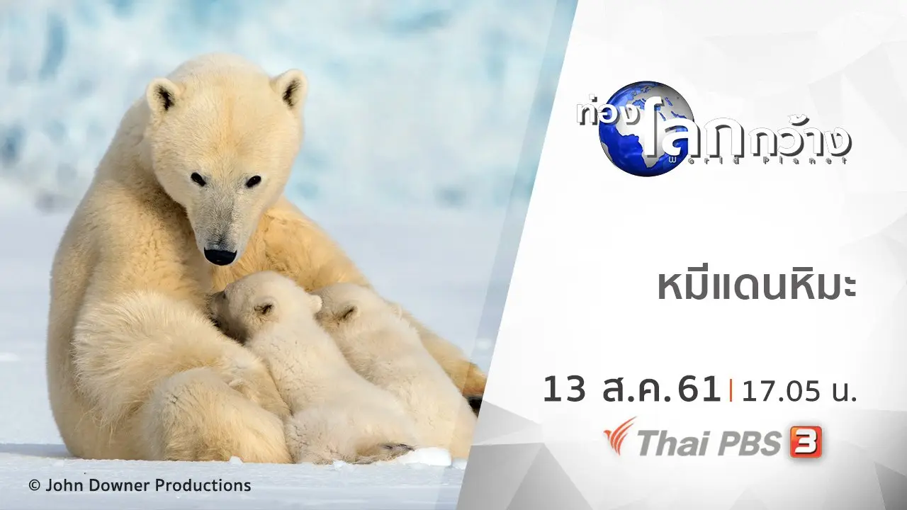 หมีแดนหิมะ
