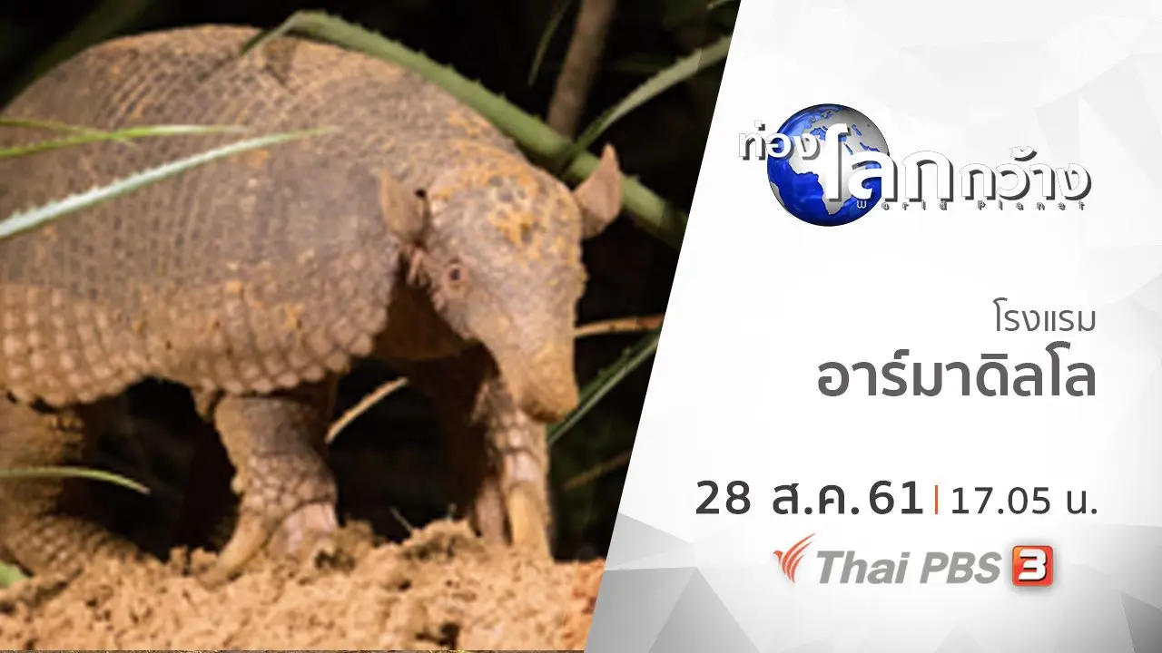 โรงแรมอาร์มาดิลโล