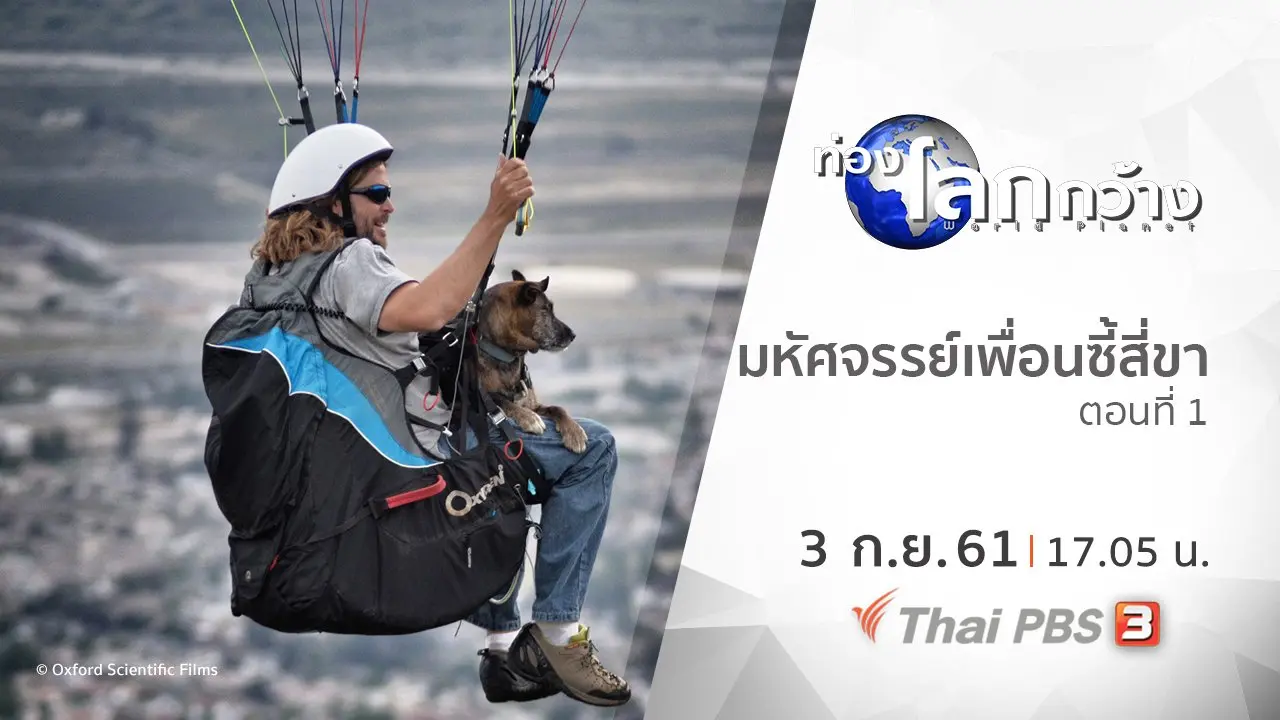 มหัศจรรย์เพื่อนซี้สี่ขา ตอนที่ 1