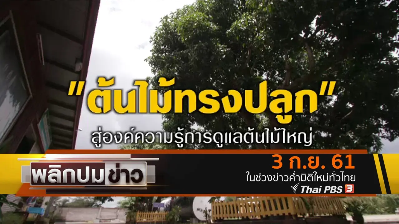 พลิกปมข่าว