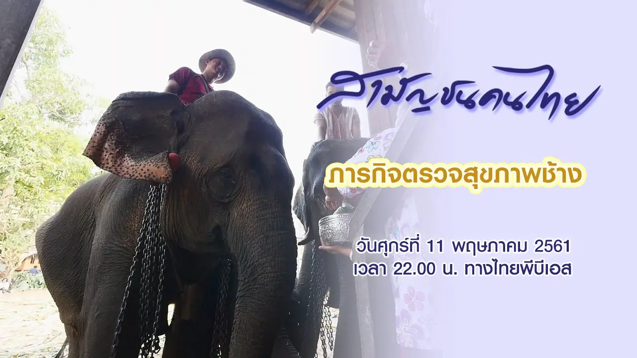 ภารกิจตรวจสุขภาพช้าง