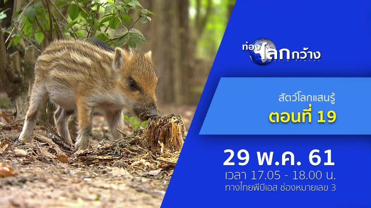 สัตว์โลกแสนรู้ ตอนที่ 19