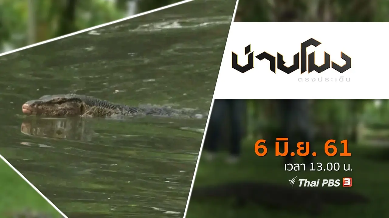 ประเด็นข่าว ( 6 มิ.ย. 61)