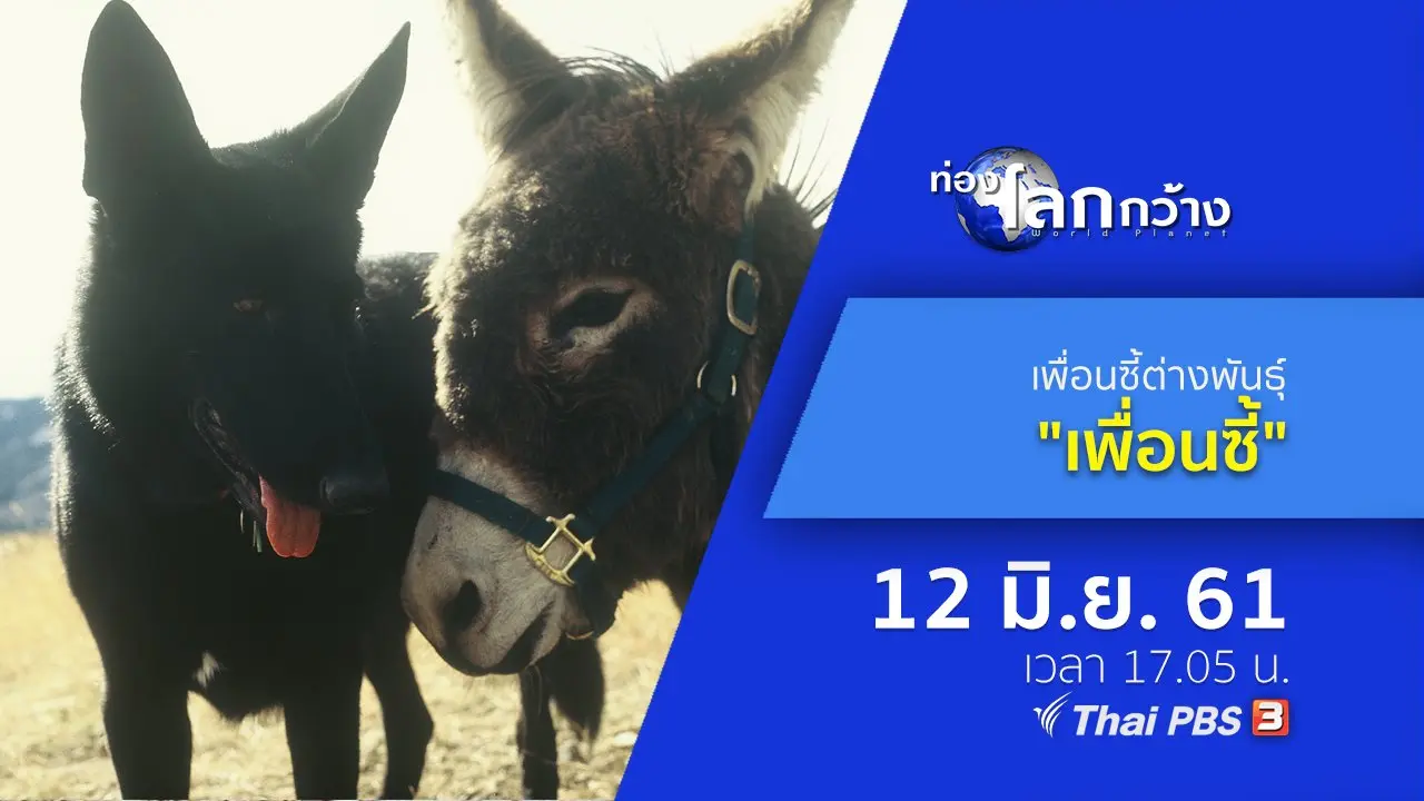 เพื่อนซี้ต่างพันธุ์ ตอน เพื่อนซี้