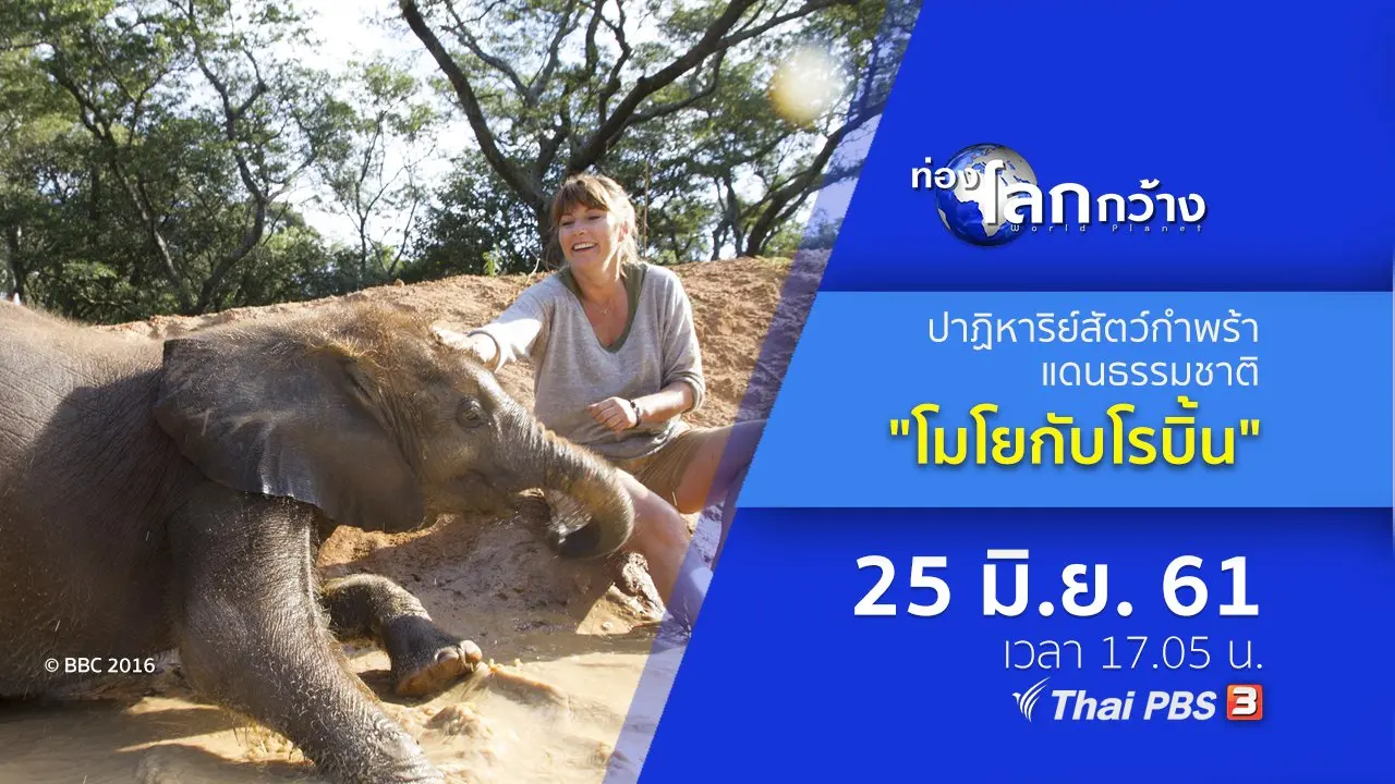 ปาฏิหาริย์สัตว์กำพร้าแดนธรรมชาติ ตอน โมโยกับโรบิ้น