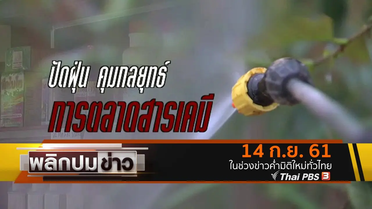 ปัดฝุ่น คุมกลยุทธ์ การตลาดสารเคมี