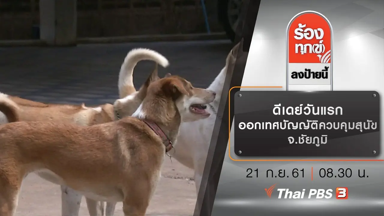 ดีเดย์วันแรก ออกเทศบัญญัติควบคุมสุนัข จ.ชัยภูมิ