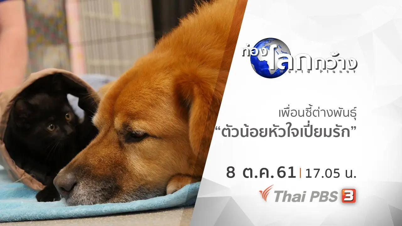 เพื่อนซี้ต่างพันธุ์ ตอน ตัวน้อยหัวใจเปี่ยมรัก