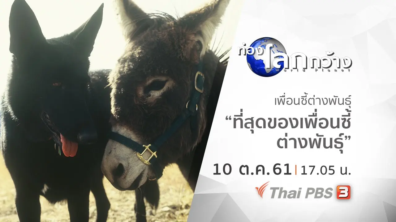 เพื่อนซี้ต่างพันธุ์ ตอน ที่สุดของเพื่อนซี้ต่างพันธุ์