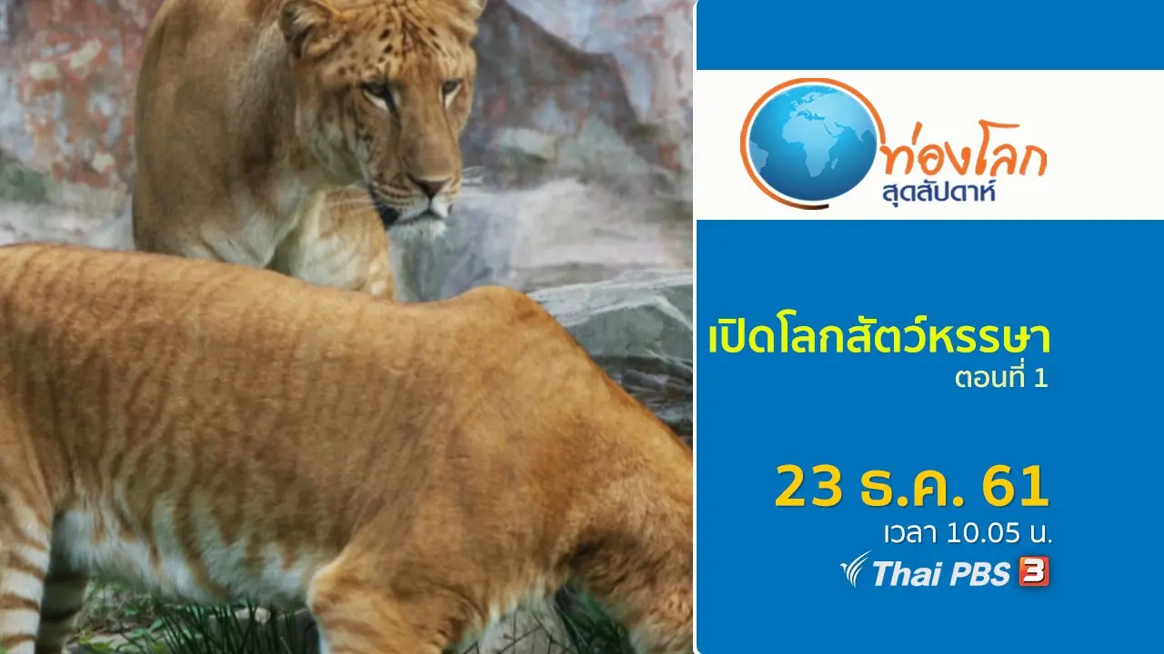 เปิดโลกสัตว์หรรษา ตอนที่ 1