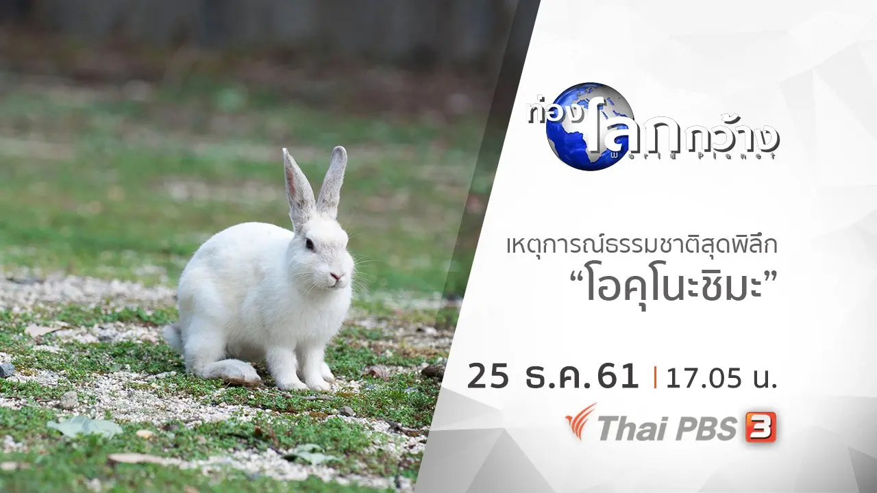 เหตุการณ์ธรรมชาติสุดพิลึก ตอน โอคุโนะชิมะ