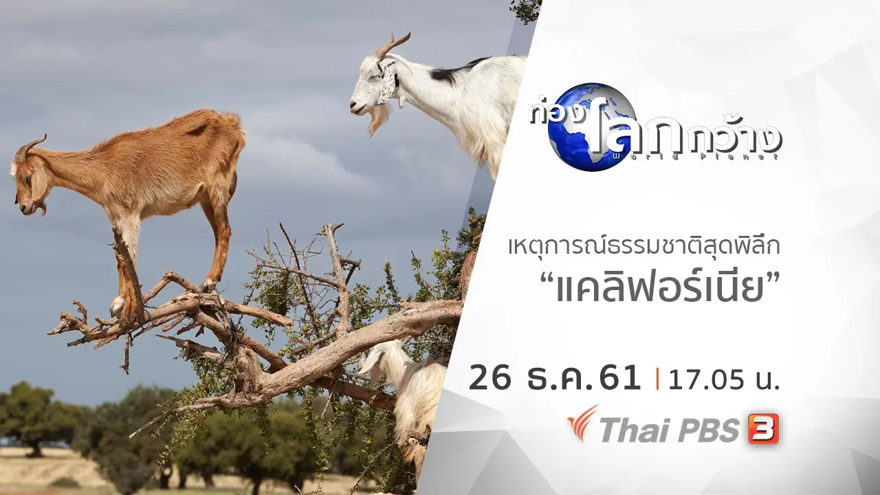 เหตุการณ์ธรรมชาติสุดพิลึก ตอน แคลิฟอร์เนีย