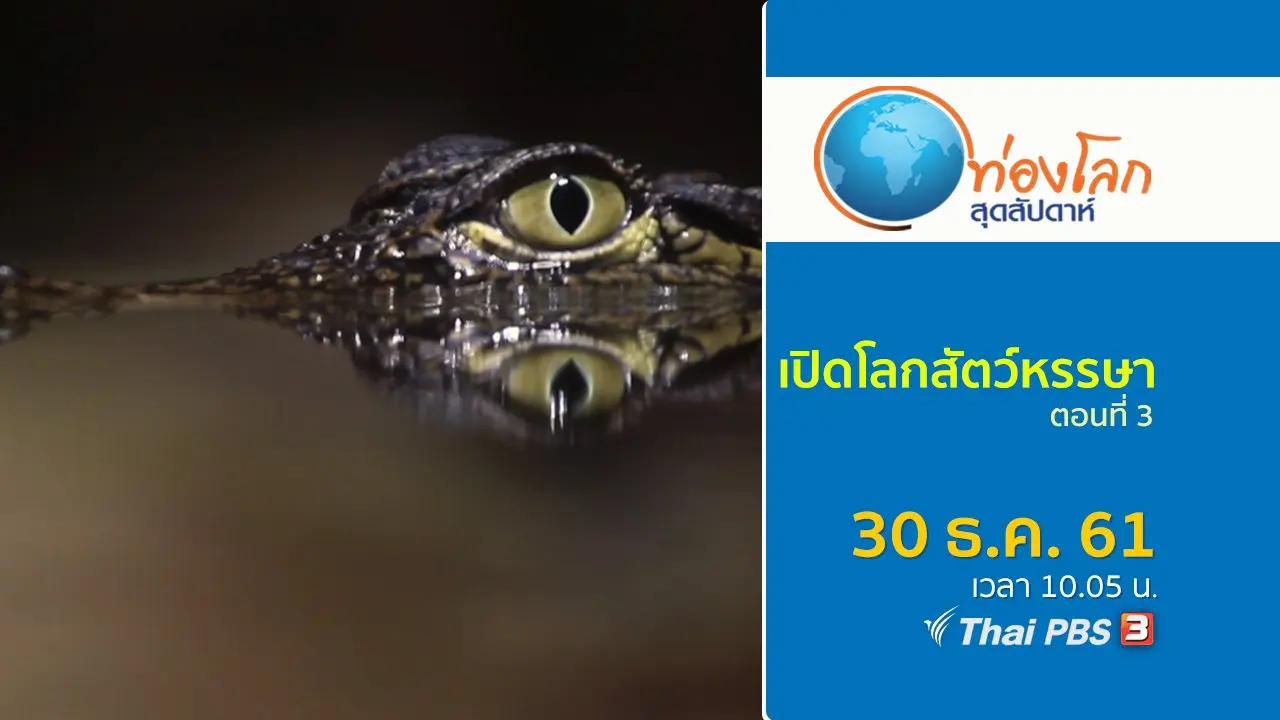 เปิดโลกสัตว์หรรษา ตอนที่ 3