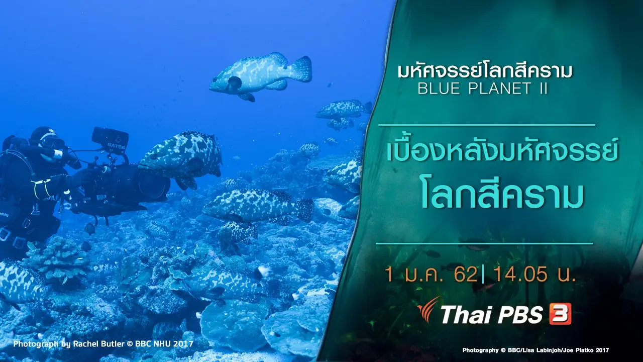 เบื้องหลังมหัศจรรย์โลกสีคราม
