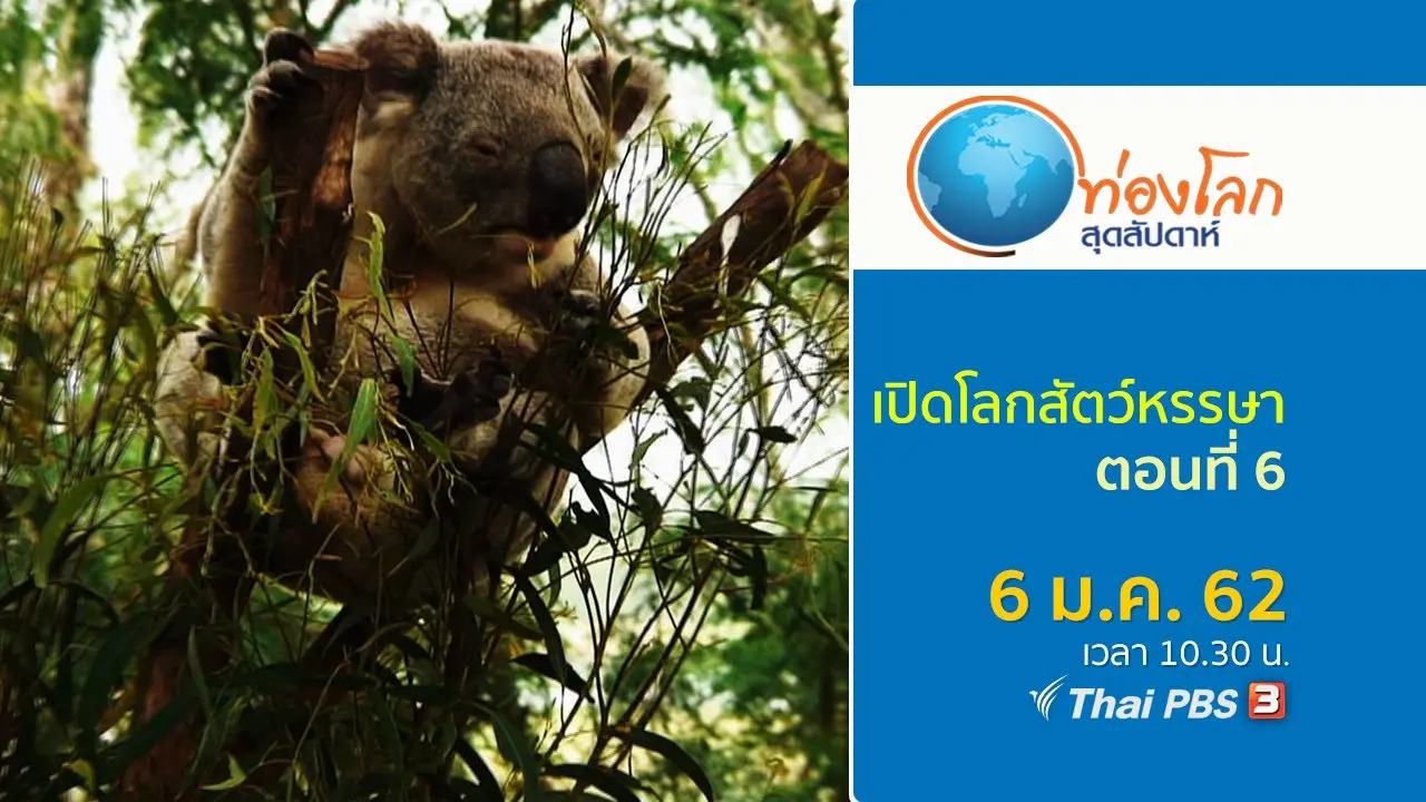 เปิดโลกสัตว์หรรษา ตอนที่ 6