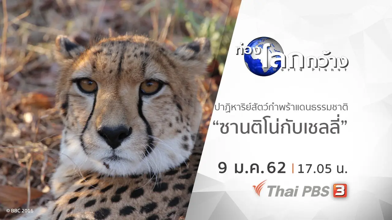 ปาฏิหาริย์สัตว์กำพร้าแดนธรรมชาติ ตอน ซานติโน่กับเชลลี่