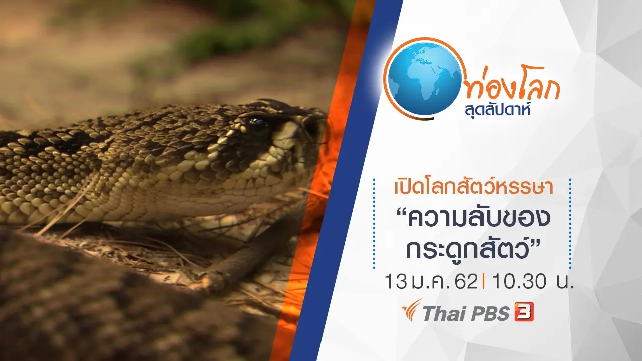 เปิดโลกสัตว์หรรษา ตอน ความลับของกระดูกสัตว์