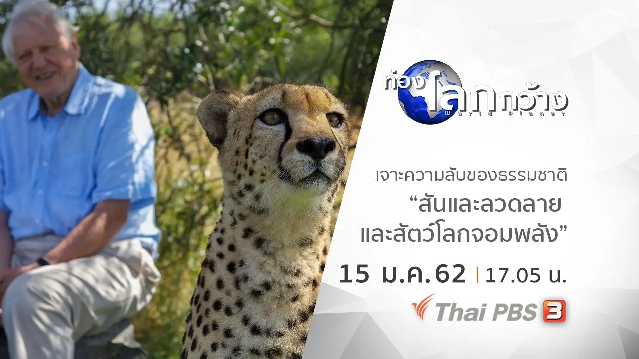 เจาะความลับของธรรมชาติ ตอน สีสันและลวดลาย และสัตว์โลกจอมพลัง