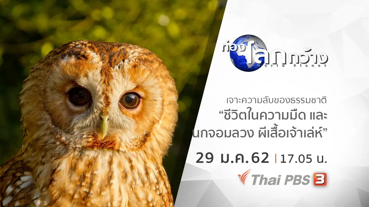 เจาะความลับของธรรมชาติ ตอน ชีวิตในความมืด และนกจอมลวง ผีเสื้อเจ้าเล่ห์