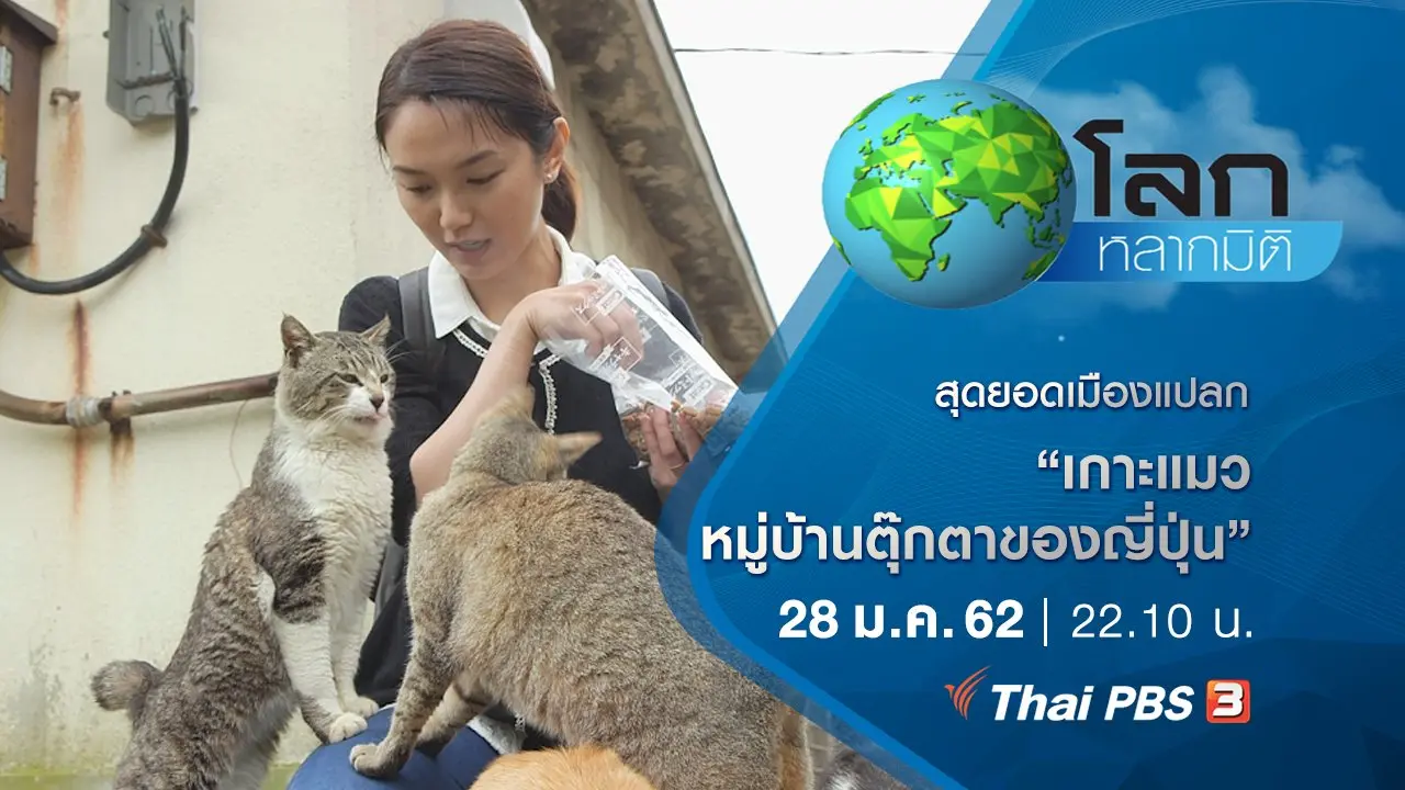 สุดยอดเมืองแปลก ตอน เกาะแมว หมู่บ้านตุ๊กตาของญี่ปุ่น