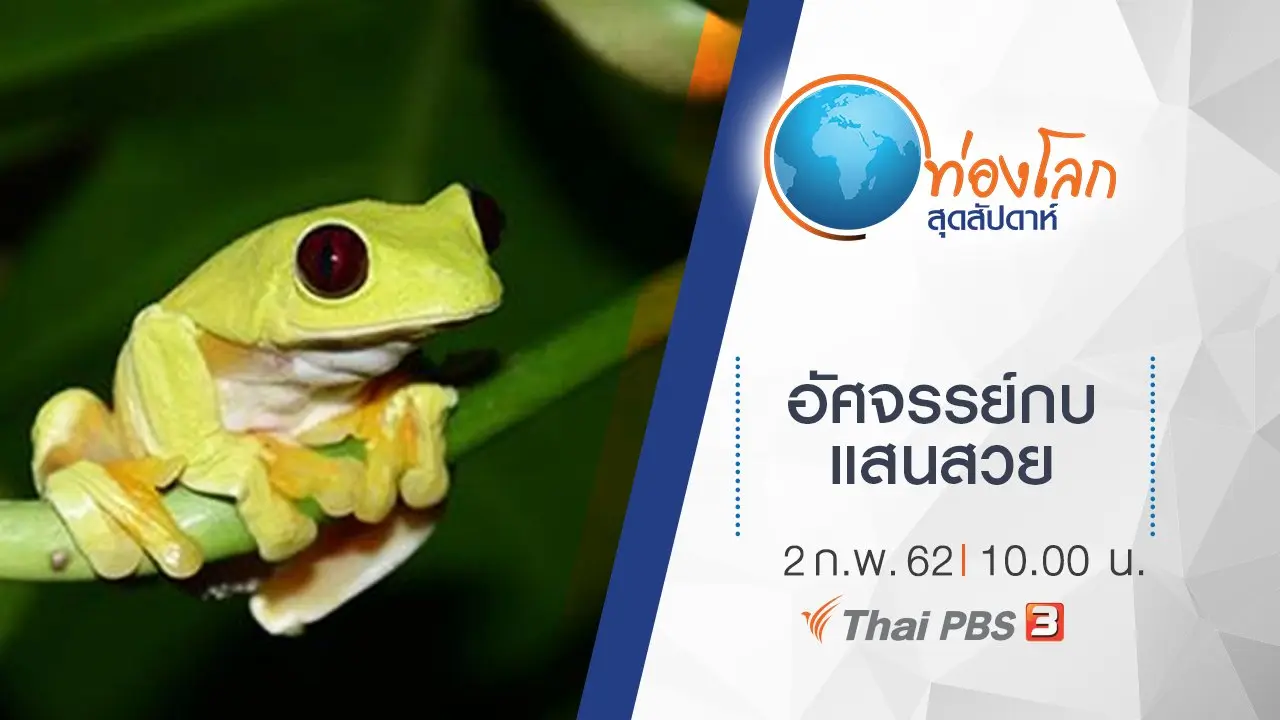 อัศจรรย์กบแสนสวย