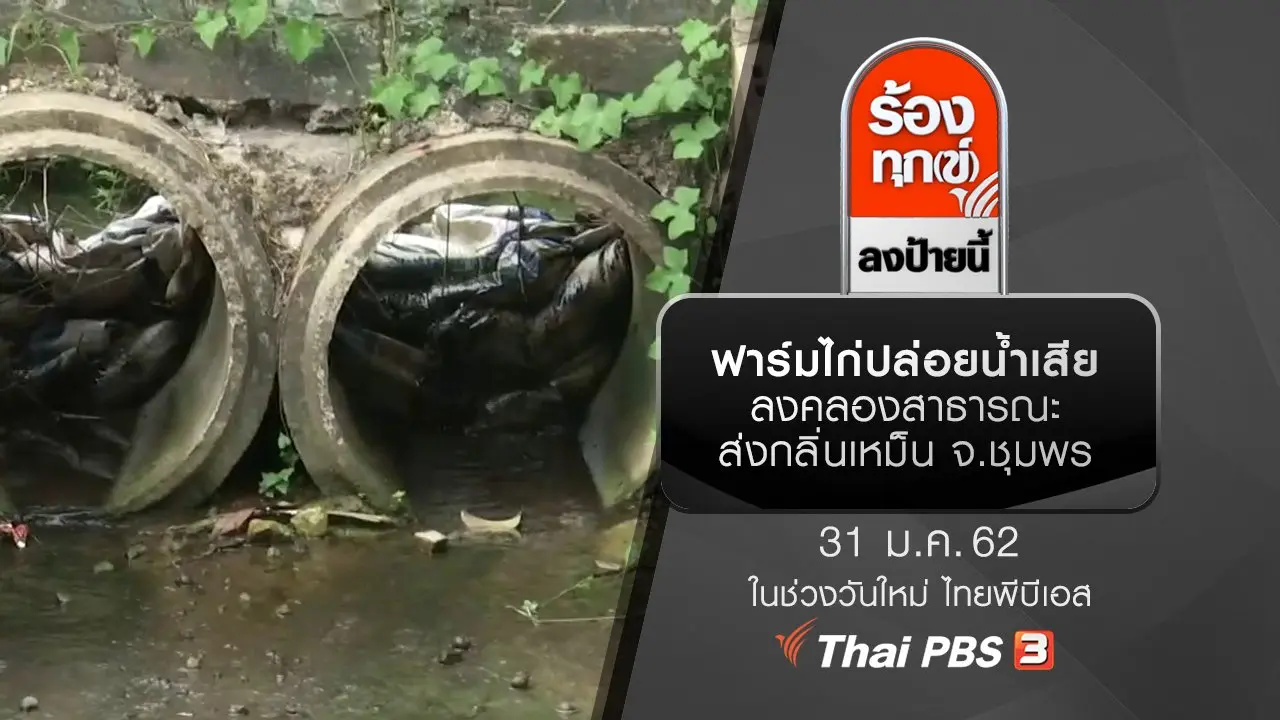 ฟาร์มไก่ปล่อยน้ำเสียลงคลองสาธารณะ ส่งกลิ่นเหม็น จ.ชุมพร