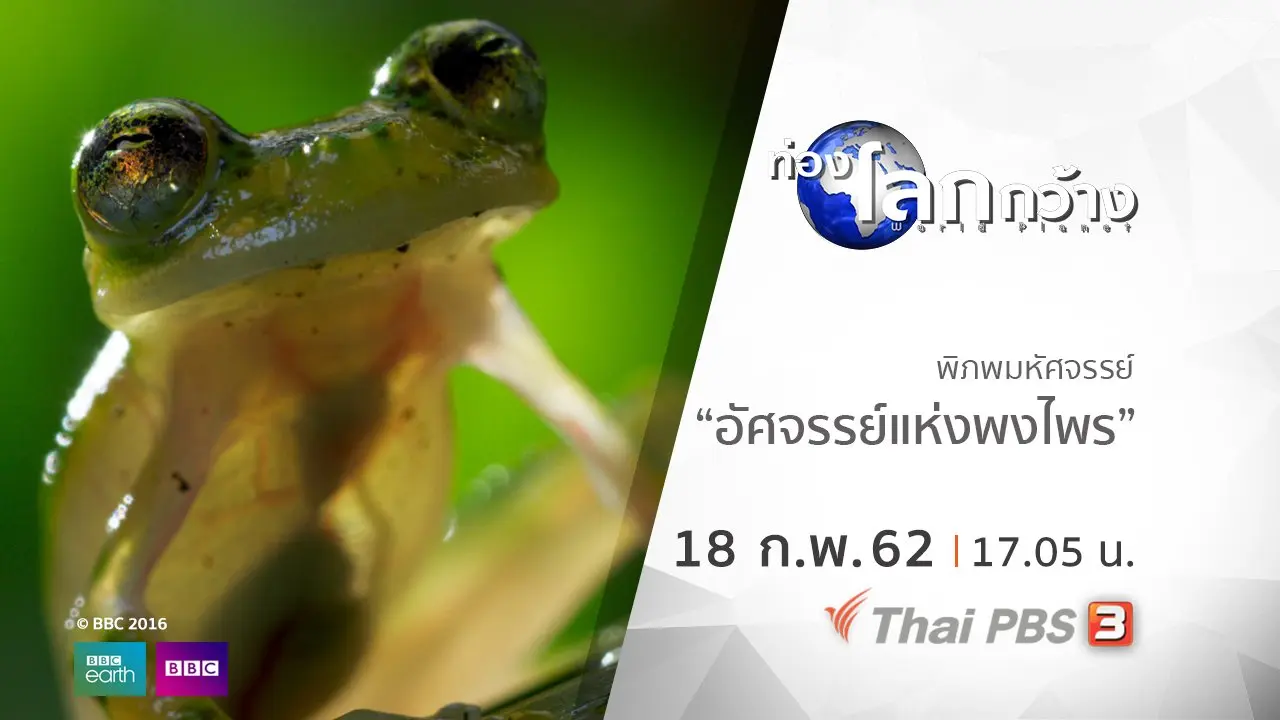 พิภพมหัศจรรย์ ตอน อัศจรรย์แห่งพงไพร