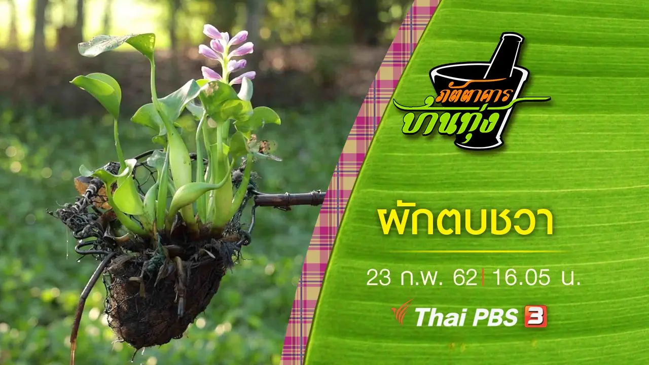ผักตบชวา
