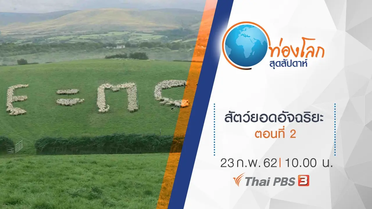 สัตว์ยอดอัจฉริยะ ตอนที่ 2